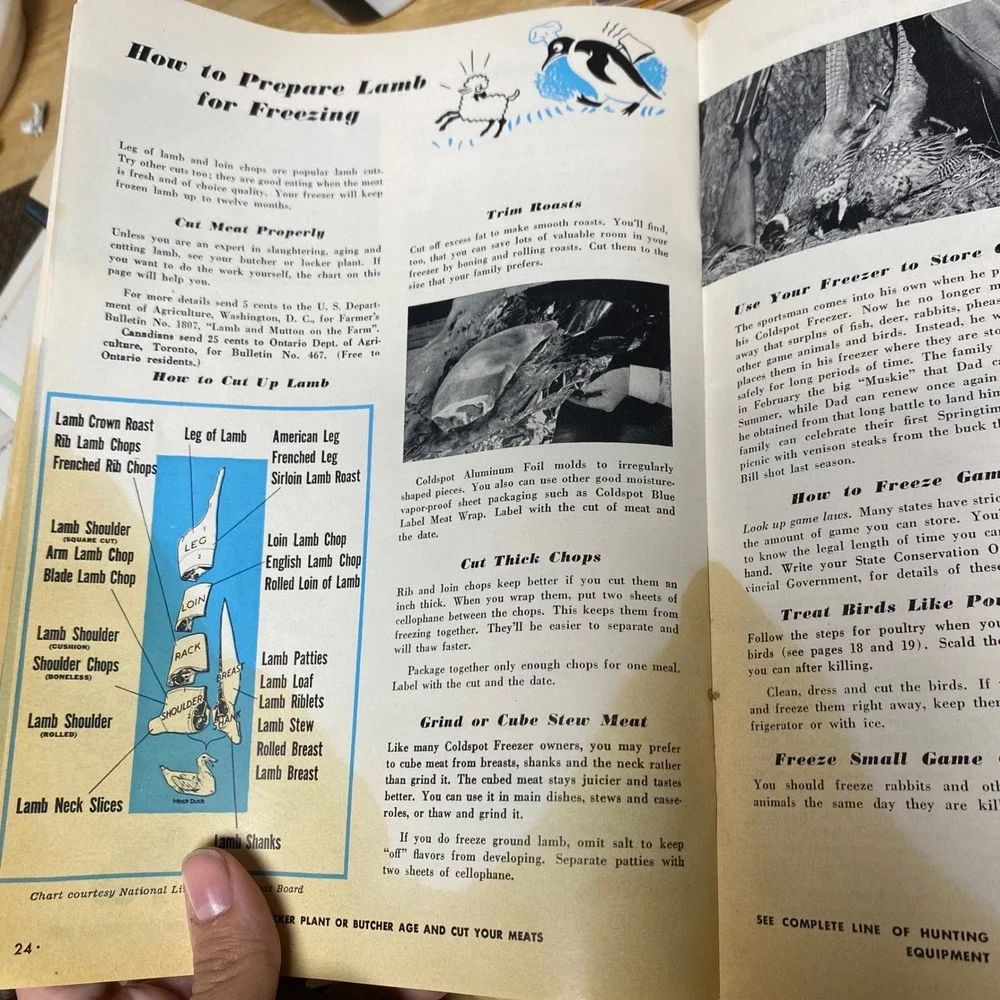 Sears, Roebuck and Co. vintage 1955